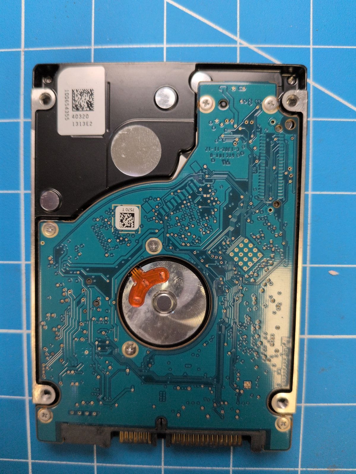 SG703 drive label (back)
