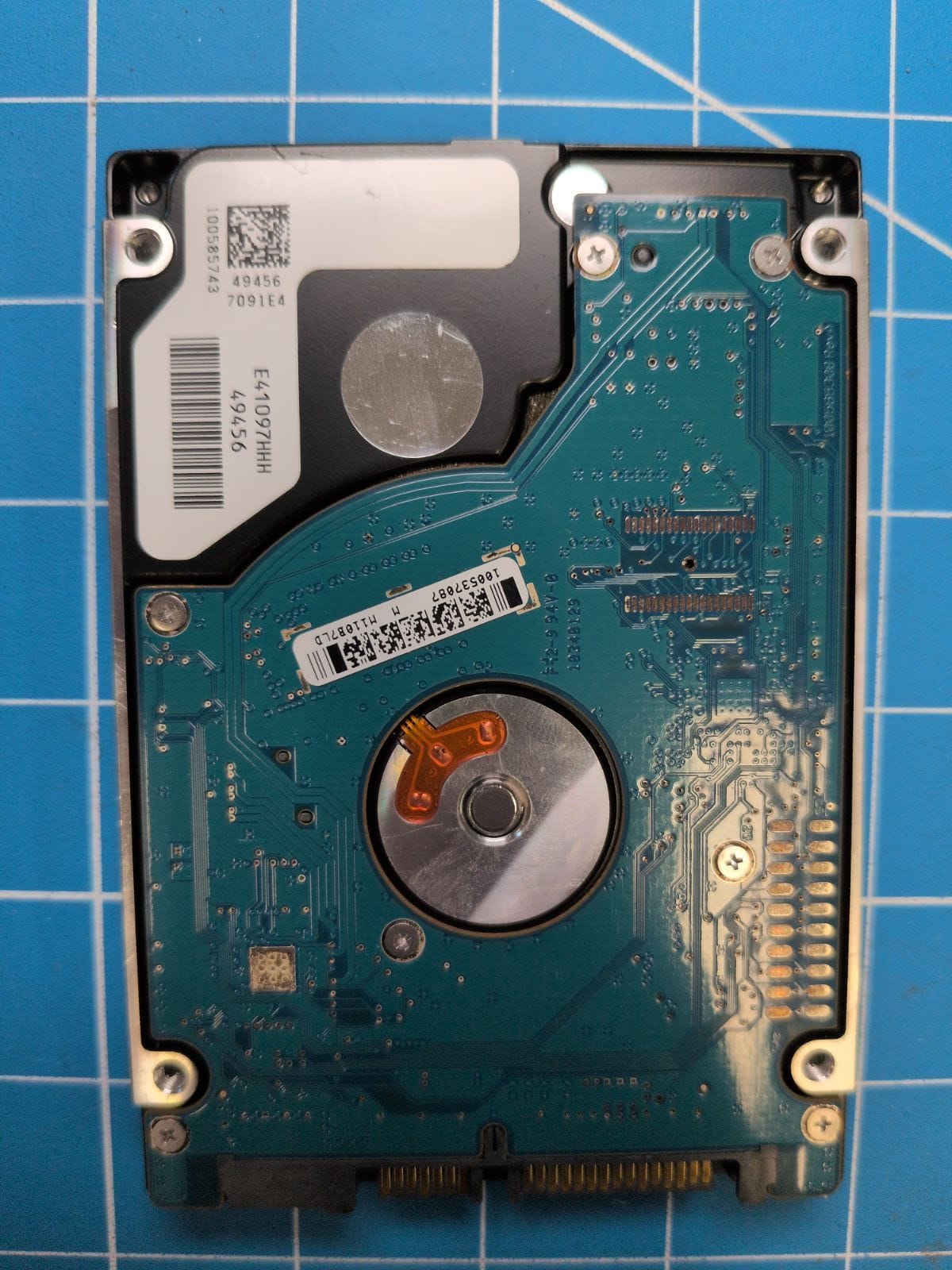 SG704 drive label (back)