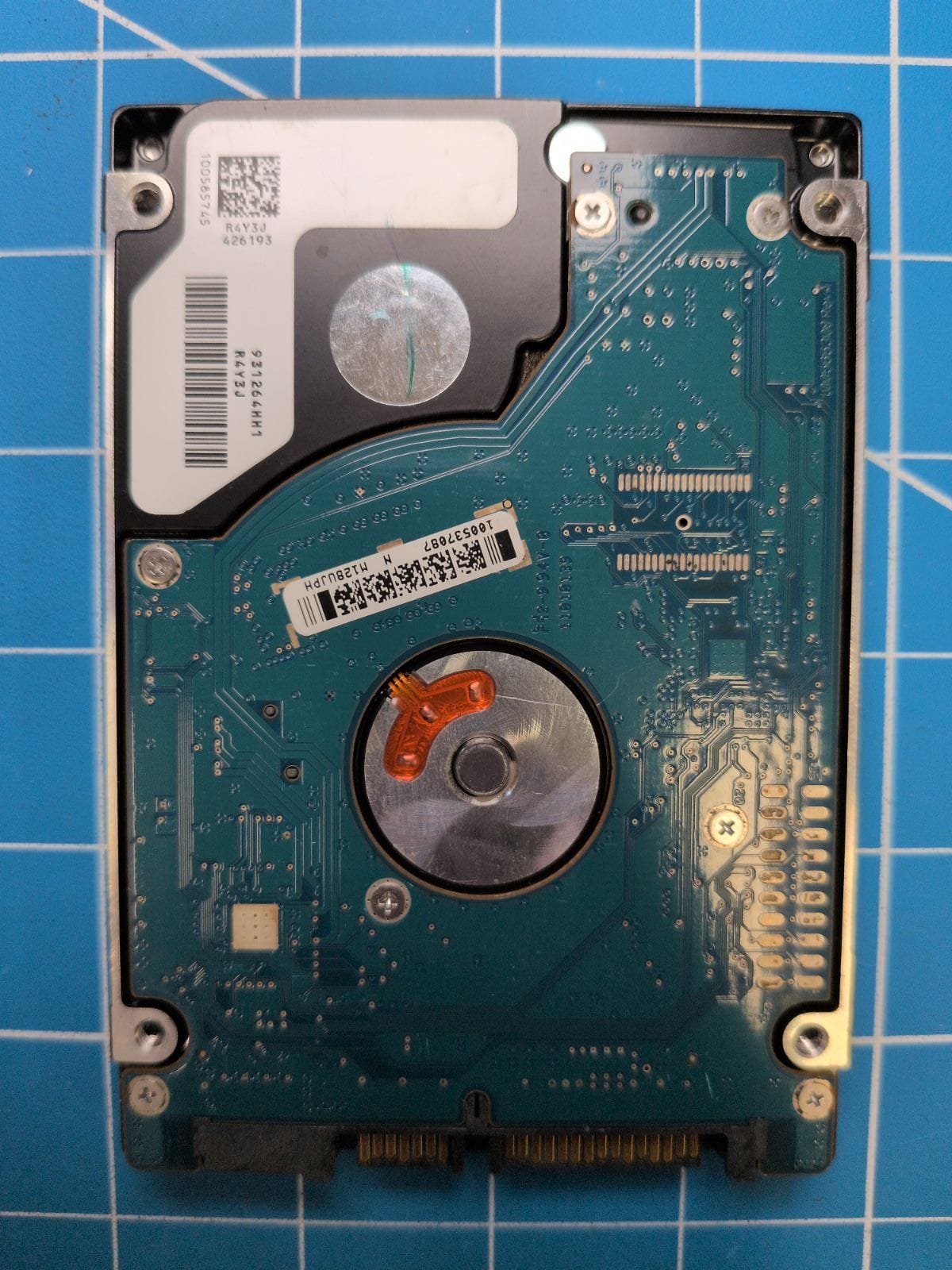 SG713 drive label (back)