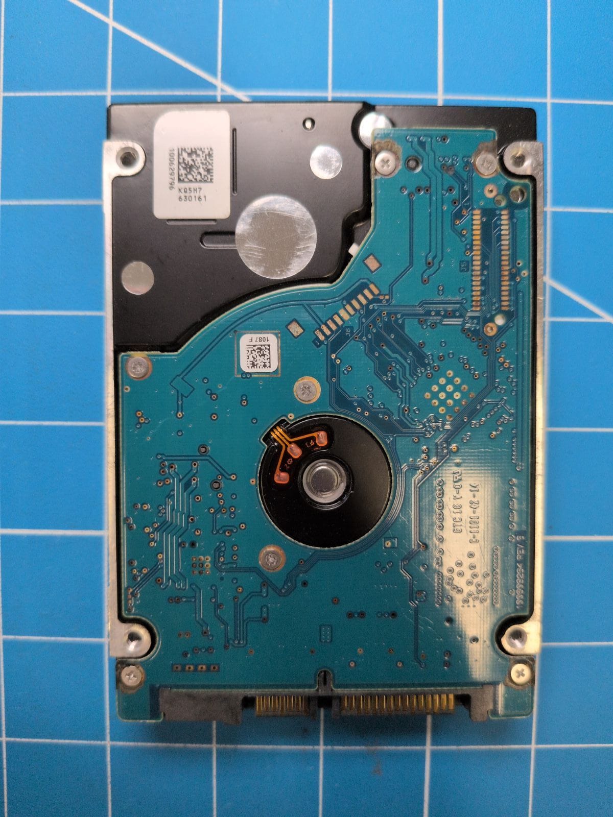 SG726 drive label (back)