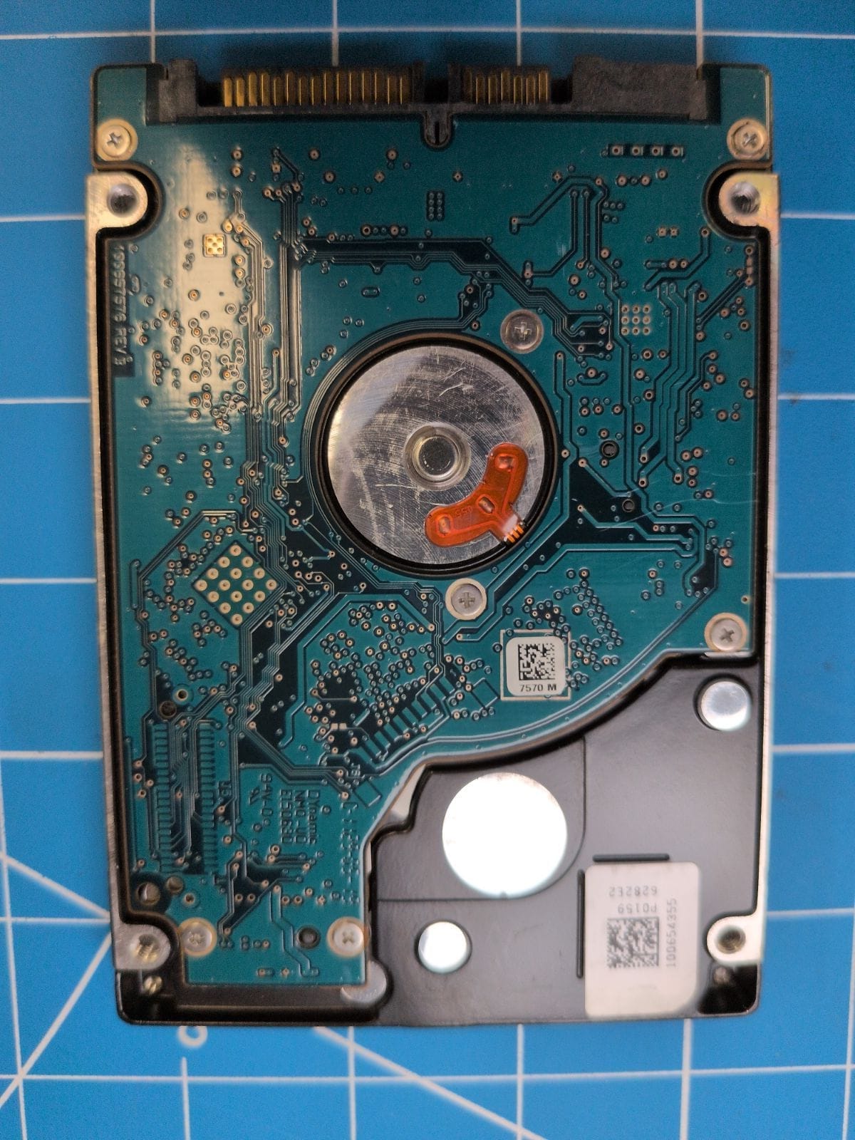 SG8 drive label (back)