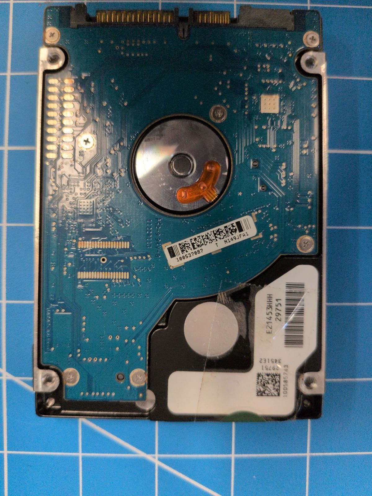 SG86 drive label (back)
