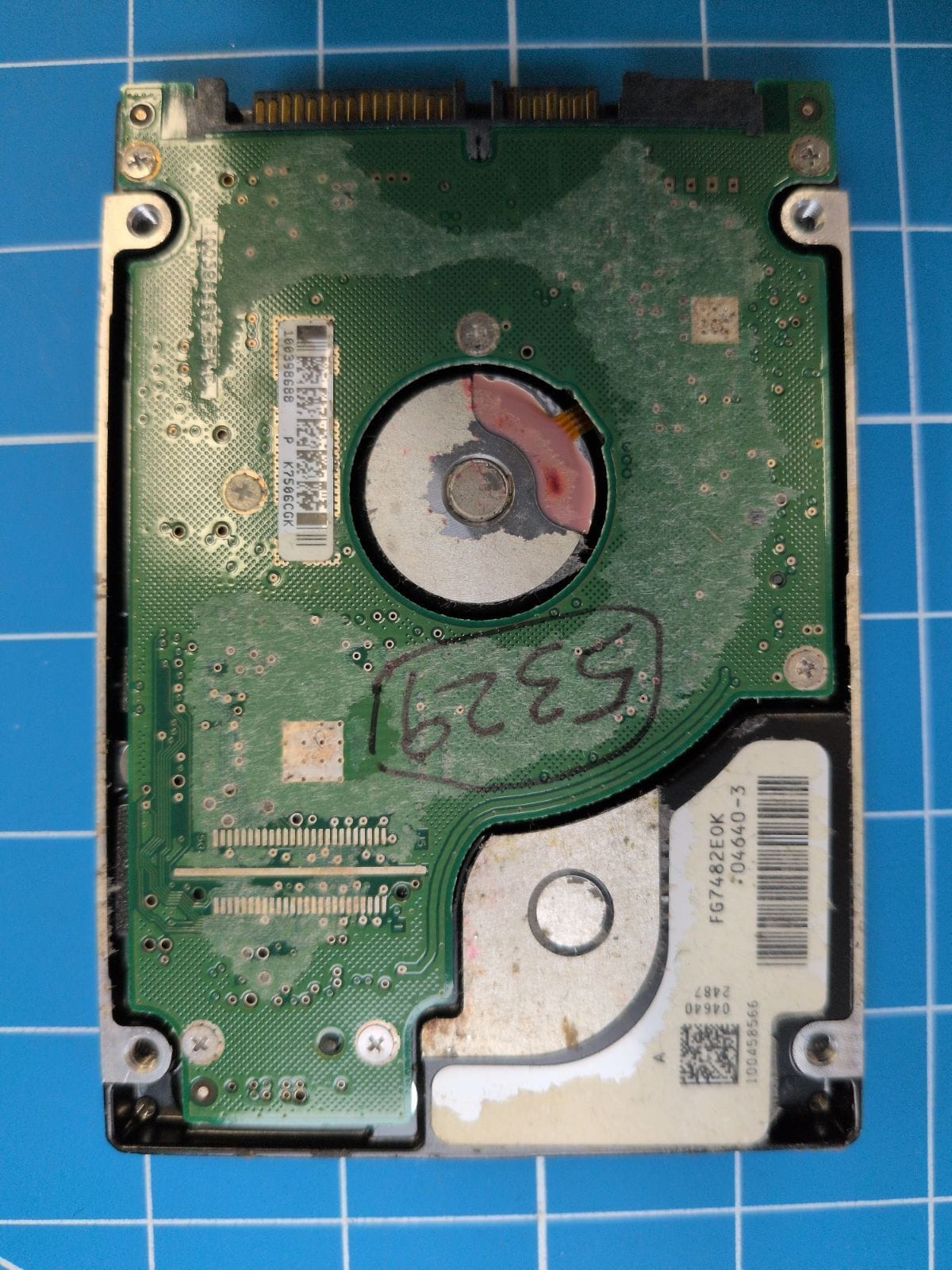 SG98 drive label (back)