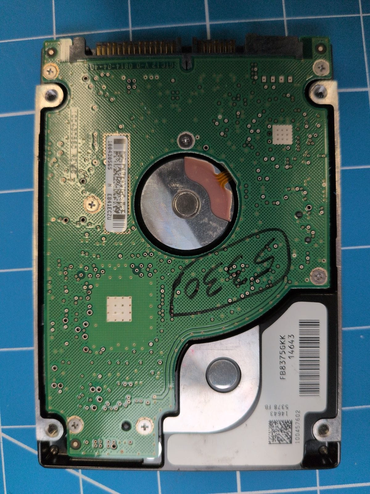 SG99 drive label (back)