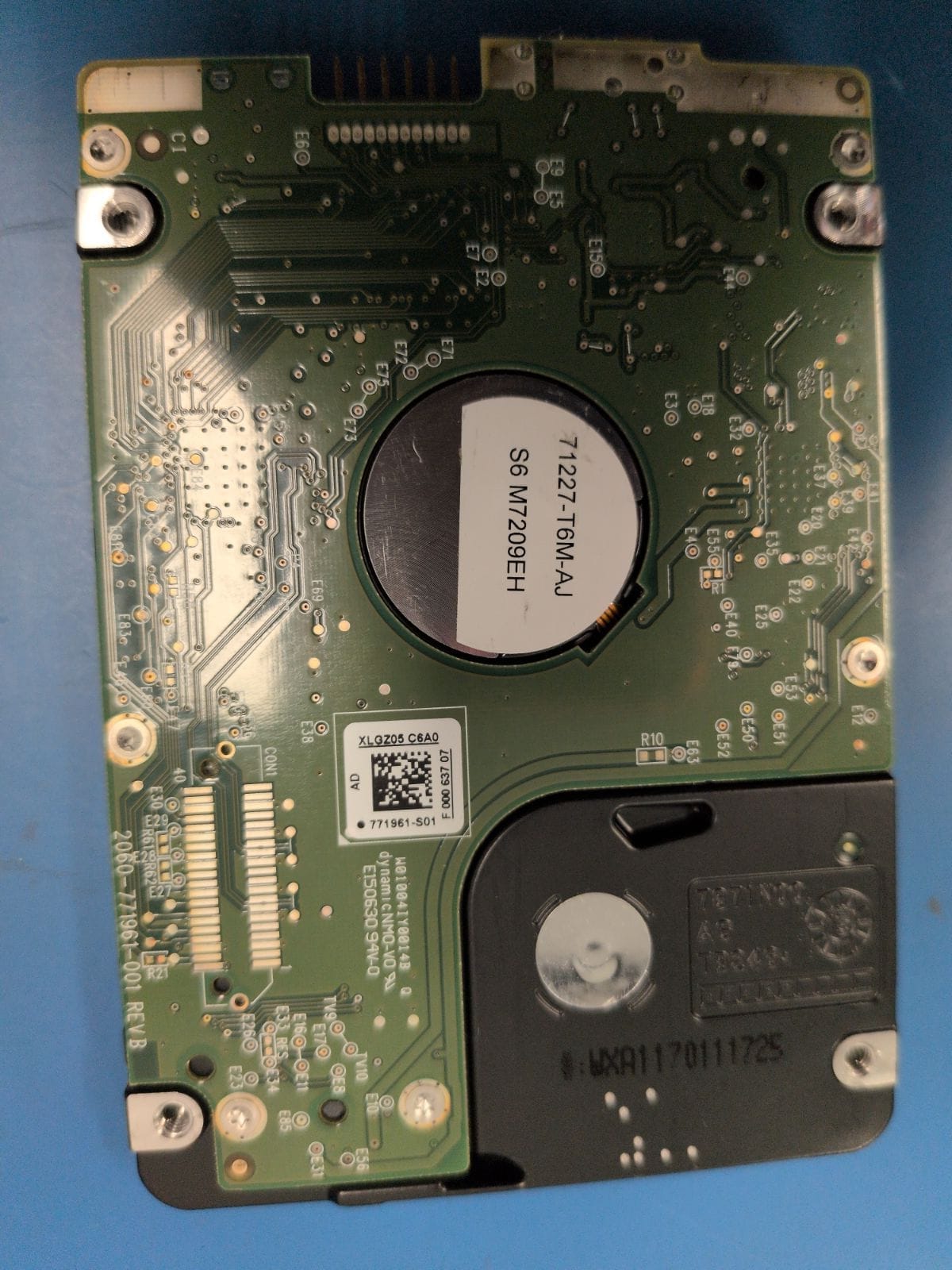 WD131 drive label (back)