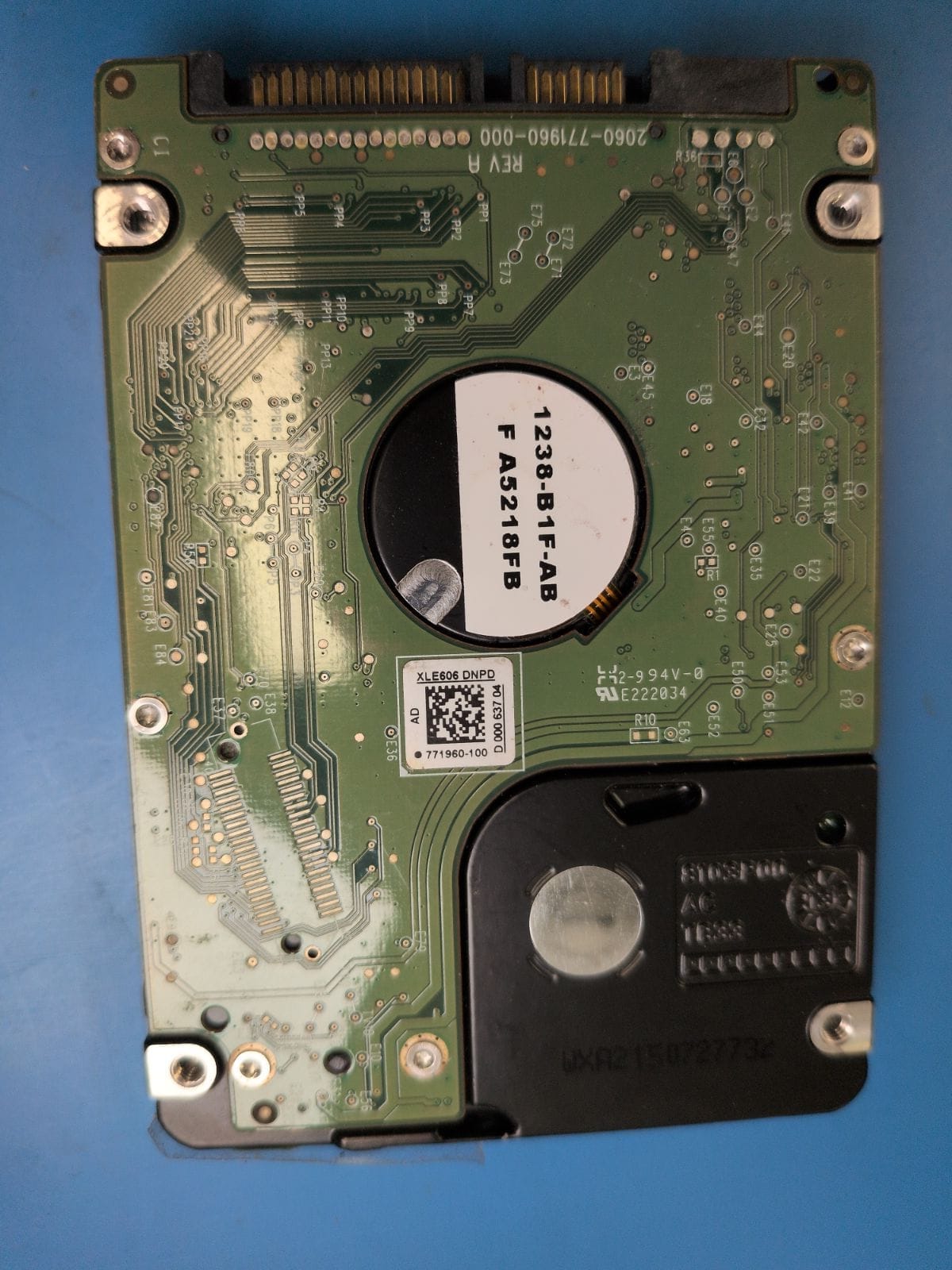 WD162 drive label (back)