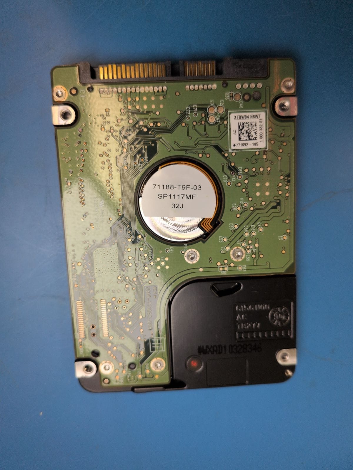 WD170 drive label (back)