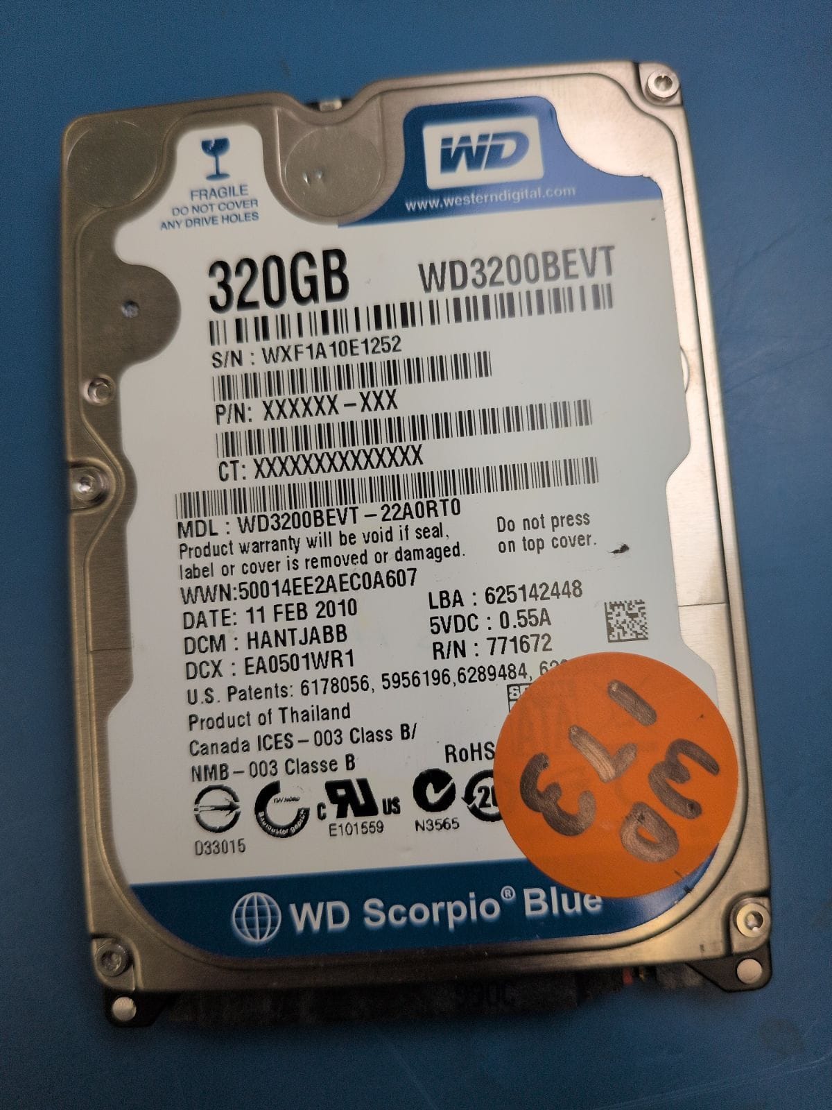 WD173 drive label (front)
