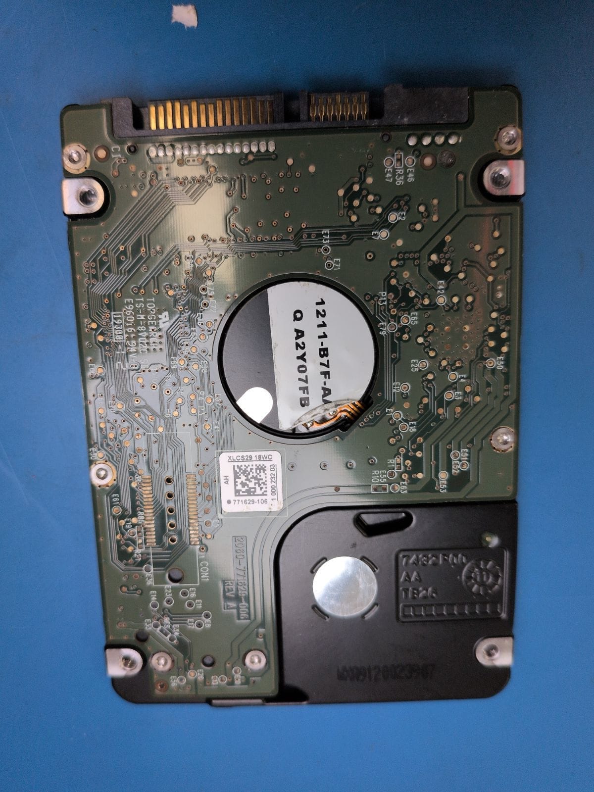 WD177 drive label (back)