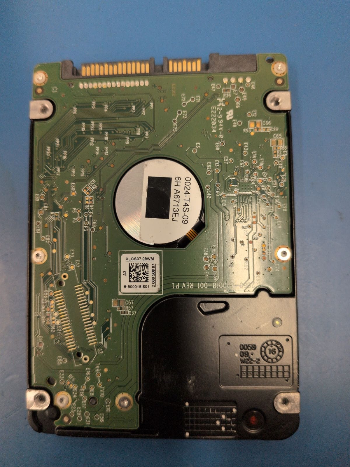 WD191 drive label (back)