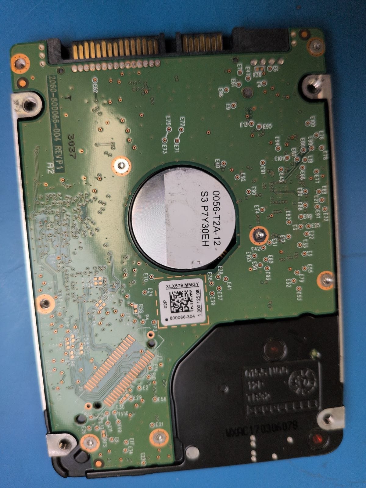 WD2 drive label (back)