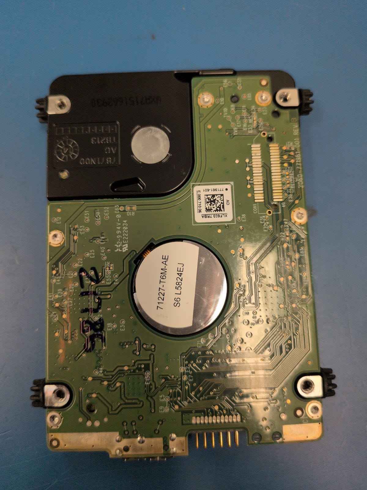 WD236 drive label (back)