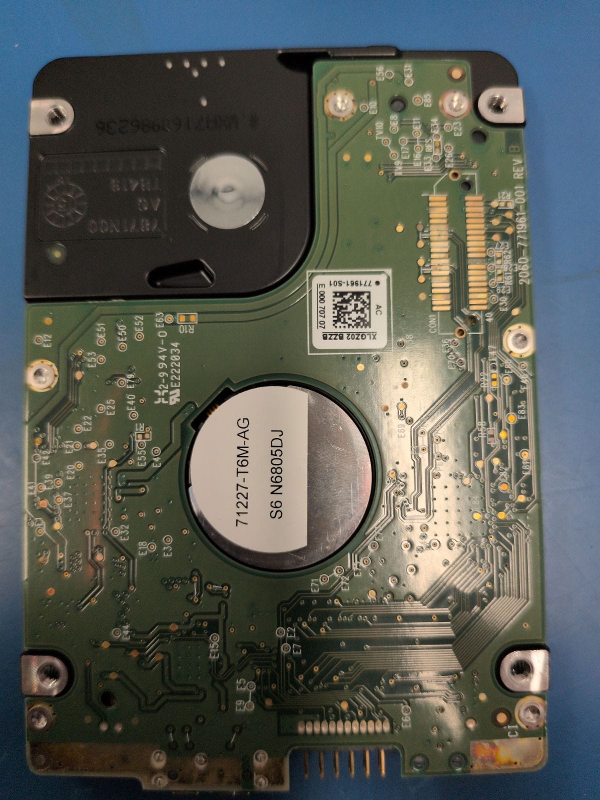 WD241 drive label (back)