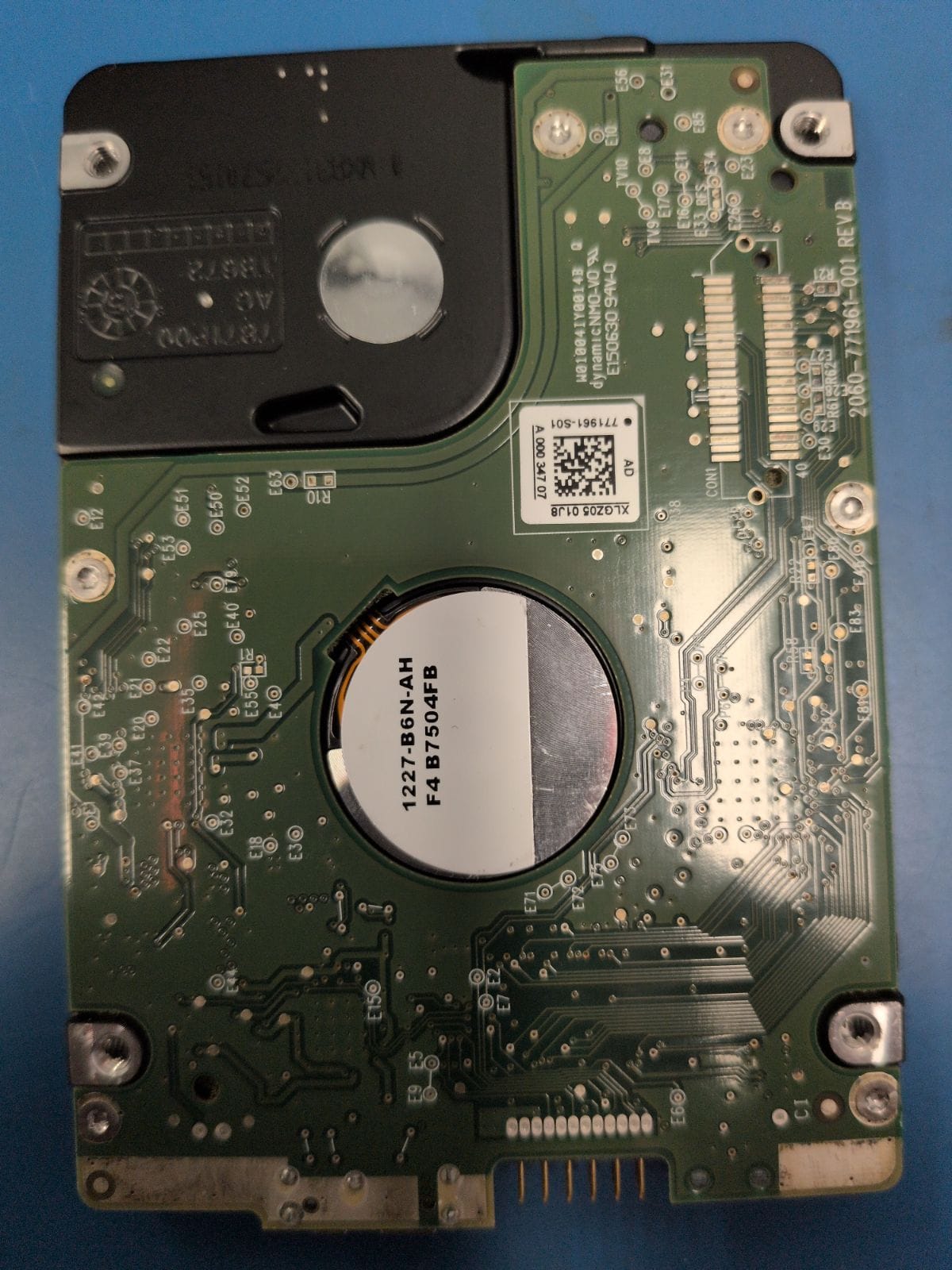 WD243 drive label (back)