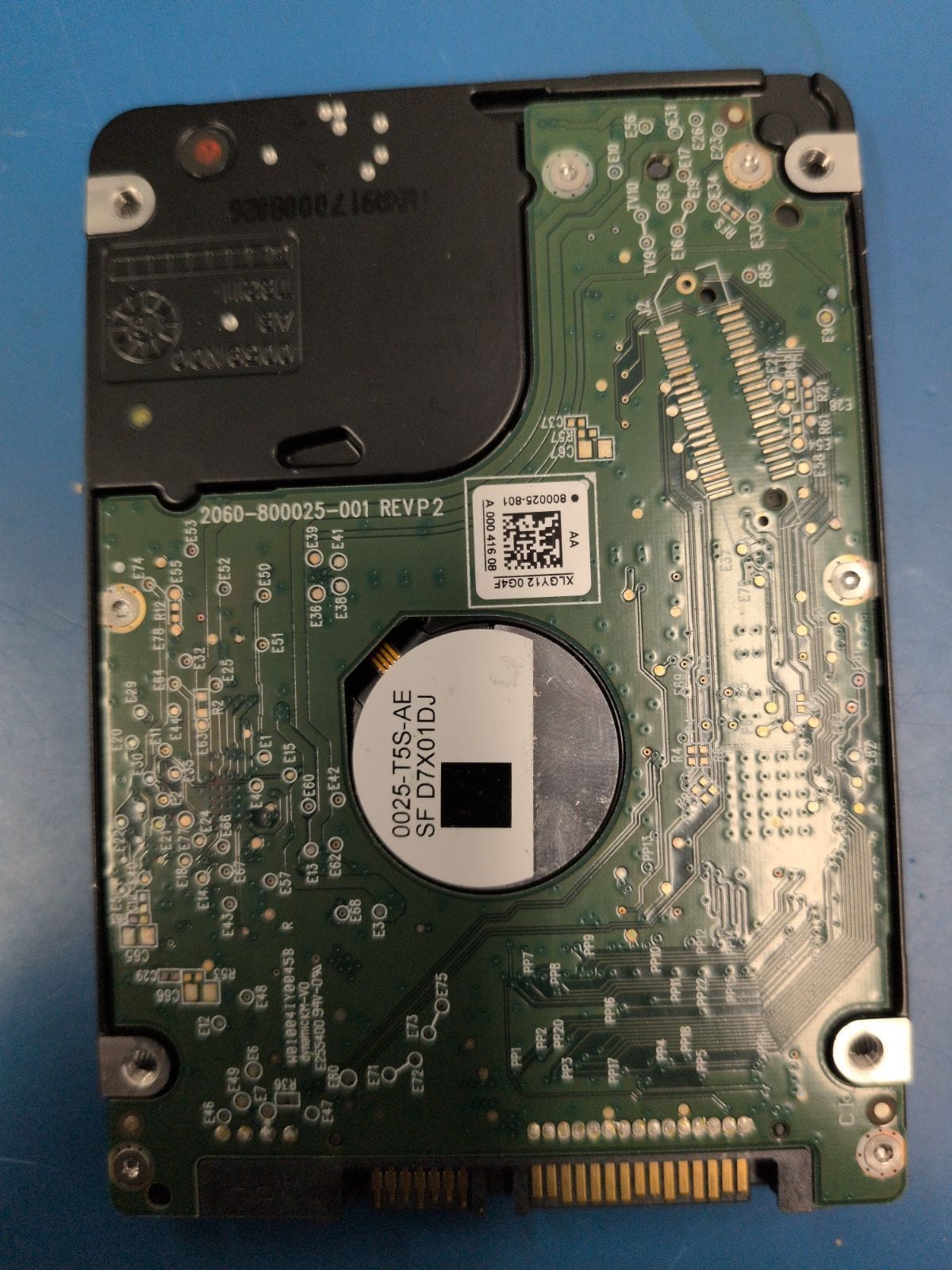 WD245 drive label (back)