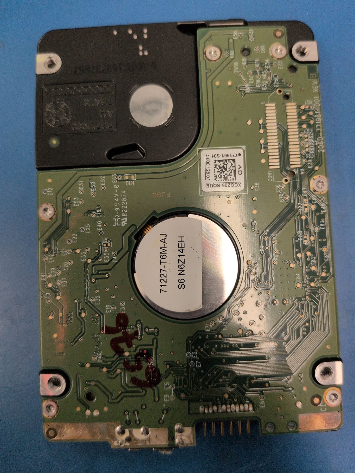 WD260 drive label (back)