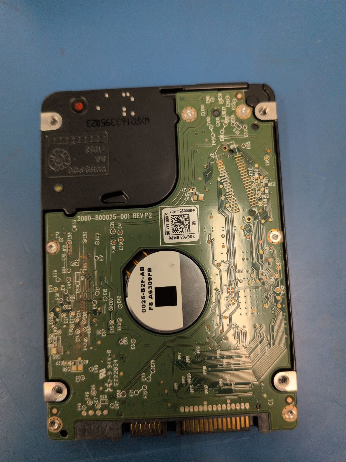 WD261 drive label (back)