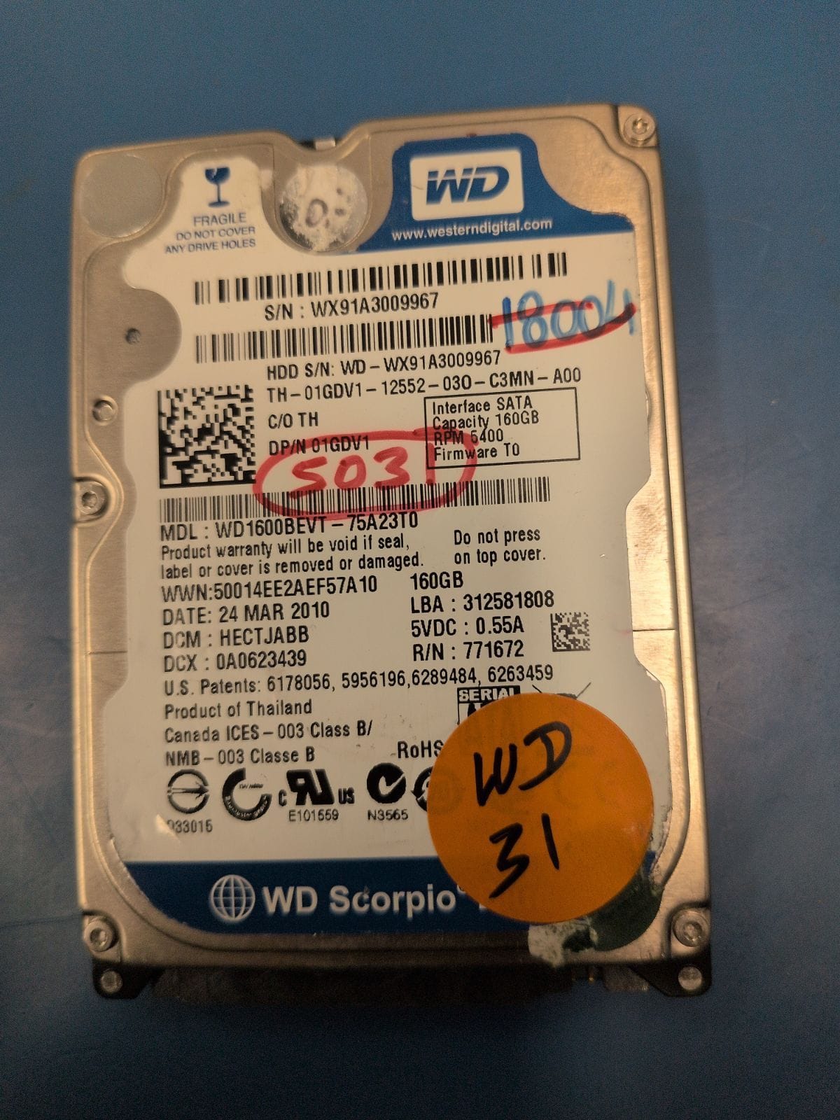 WD31 drive label (front)