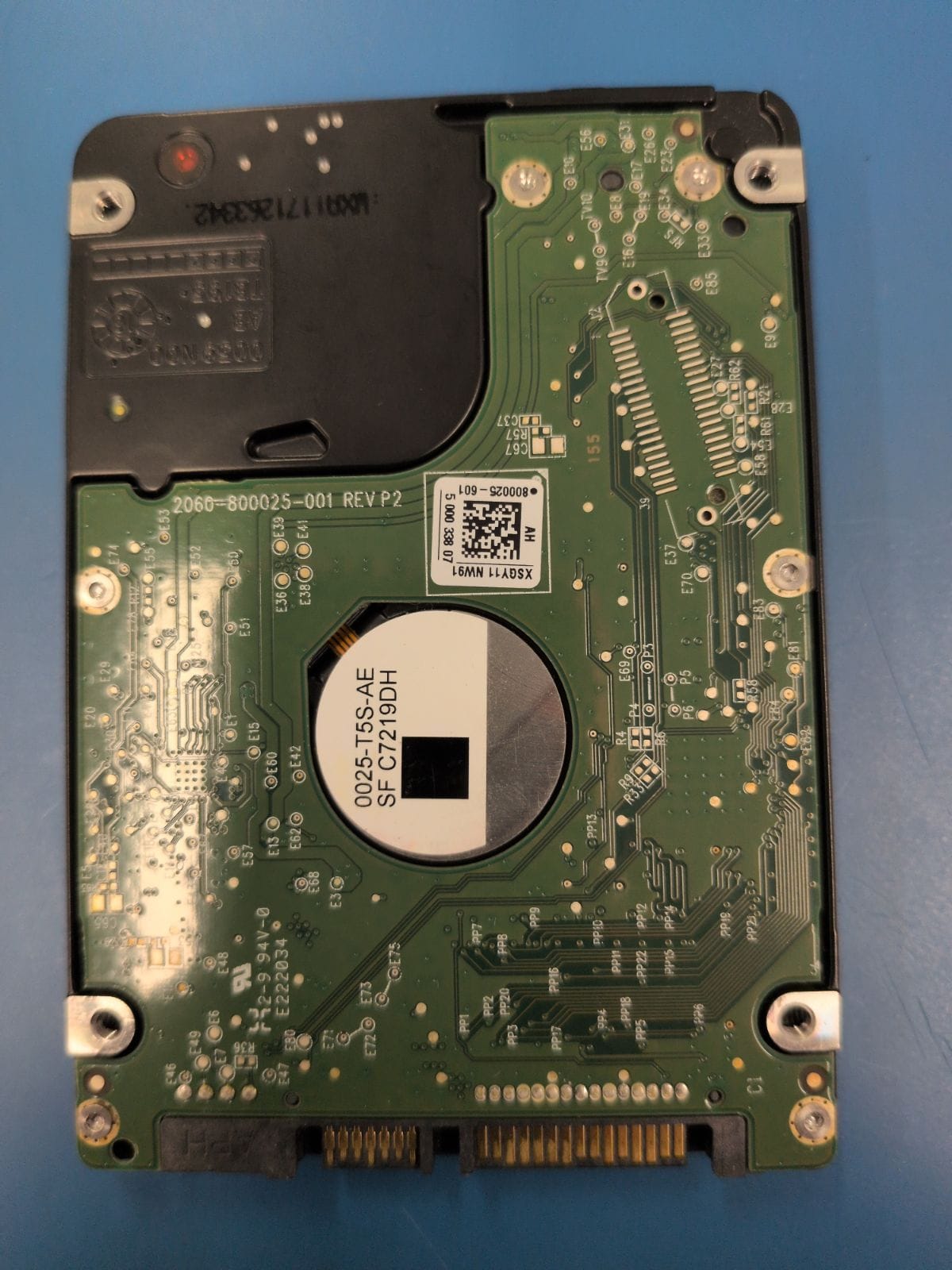 WD4 drive label (back)