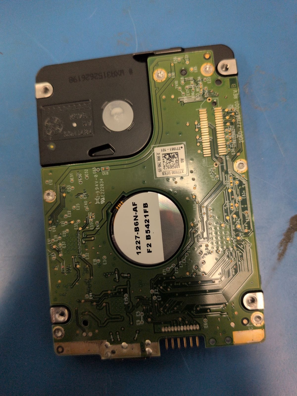WD423 drive label (back)