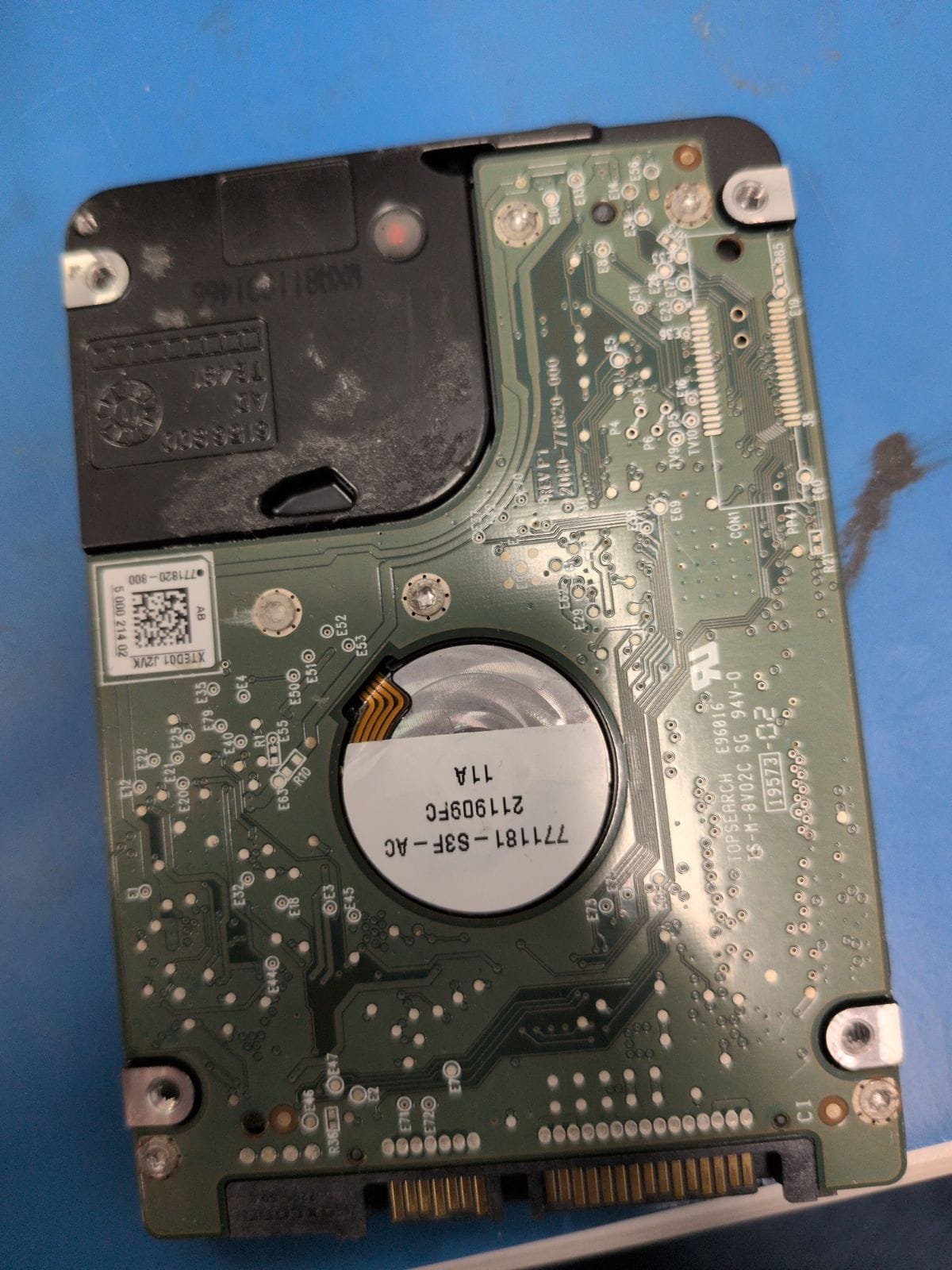 WD436 drive label (back)