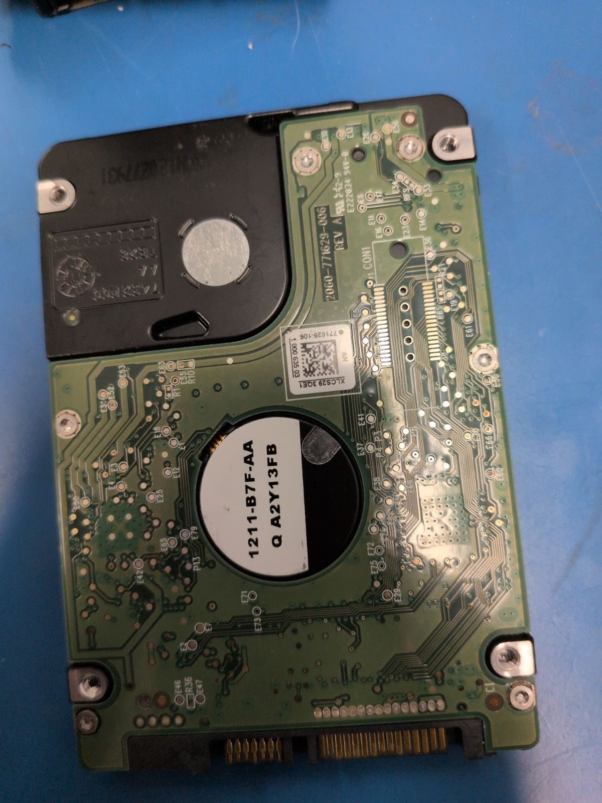 WD446 drive label (back)