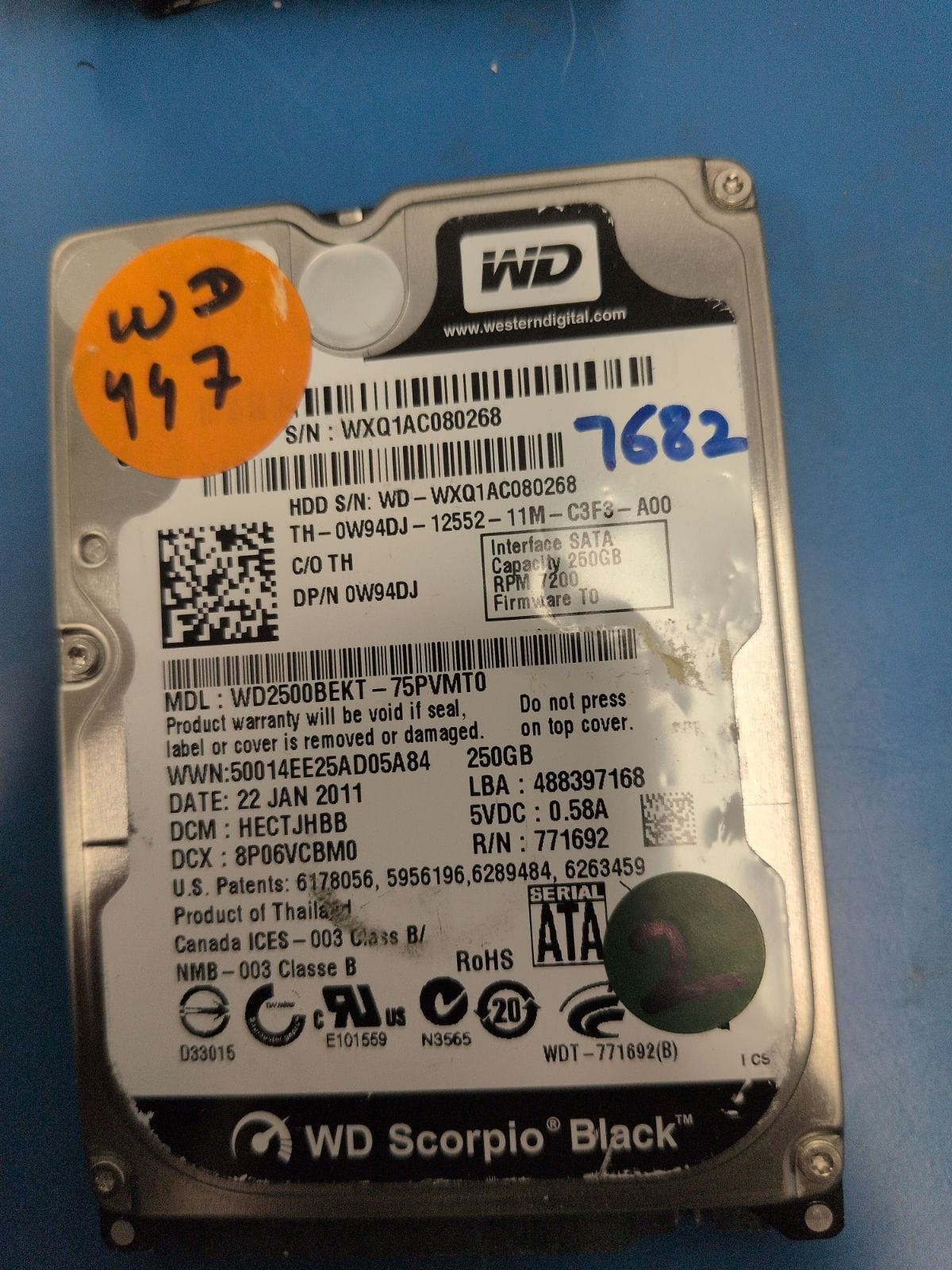 WD447 drive label (front)