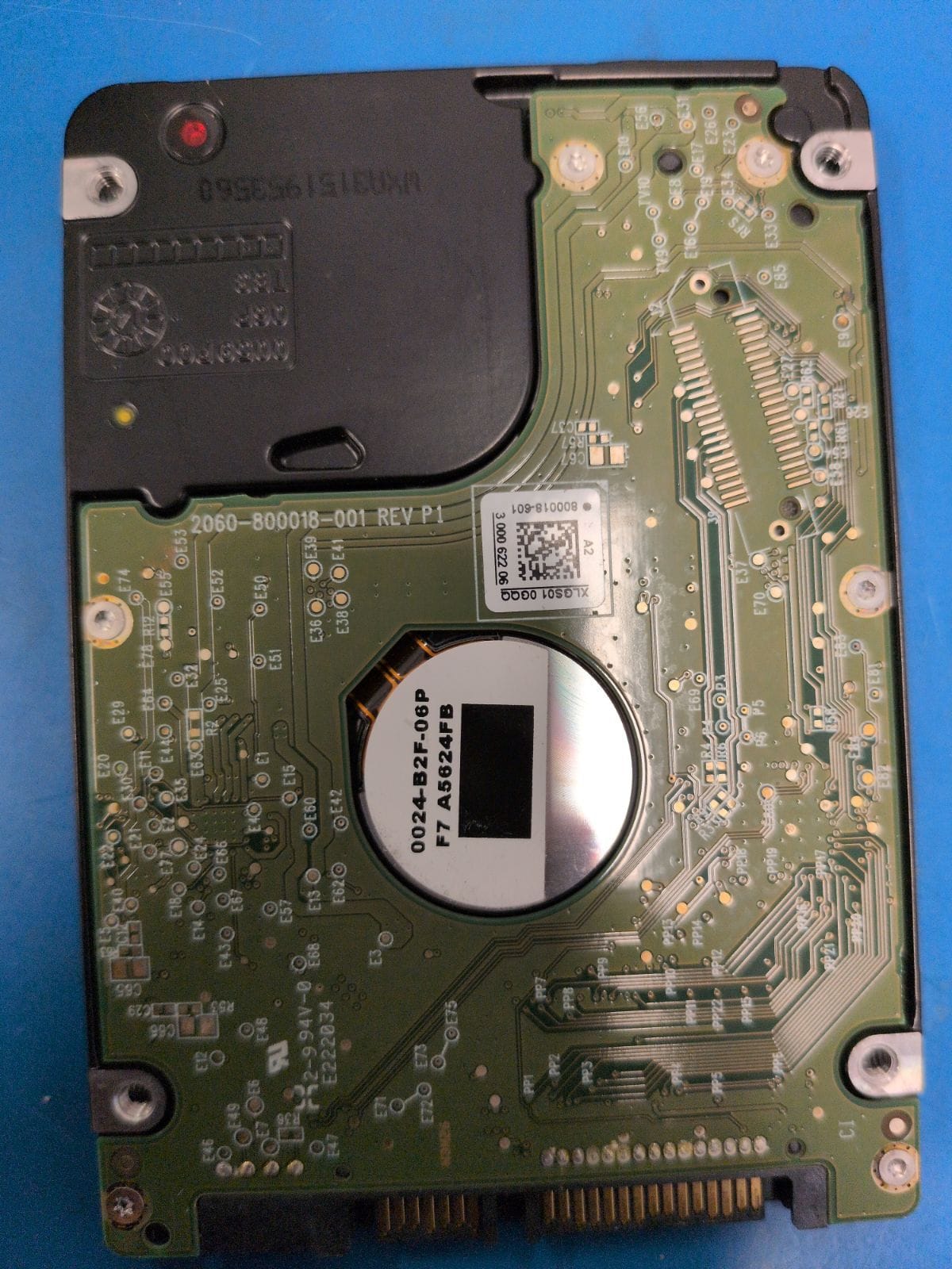 WD481 drive label (back)