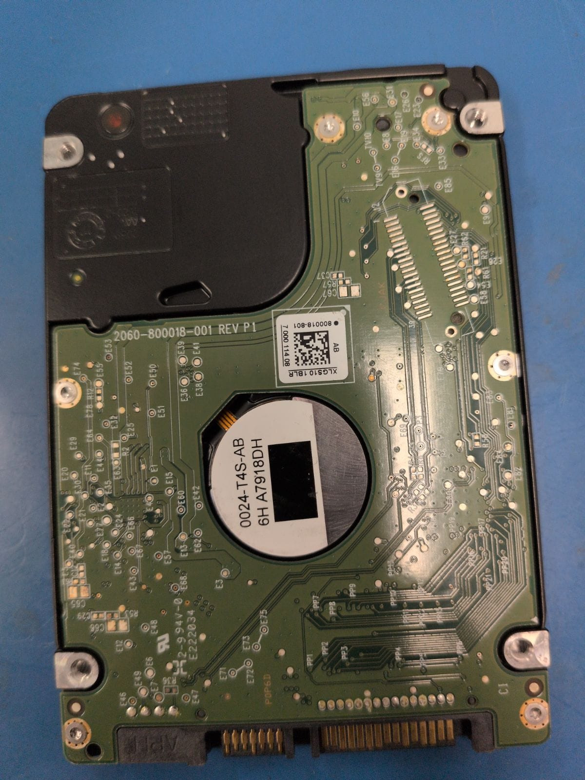 WD494 drive label (back)