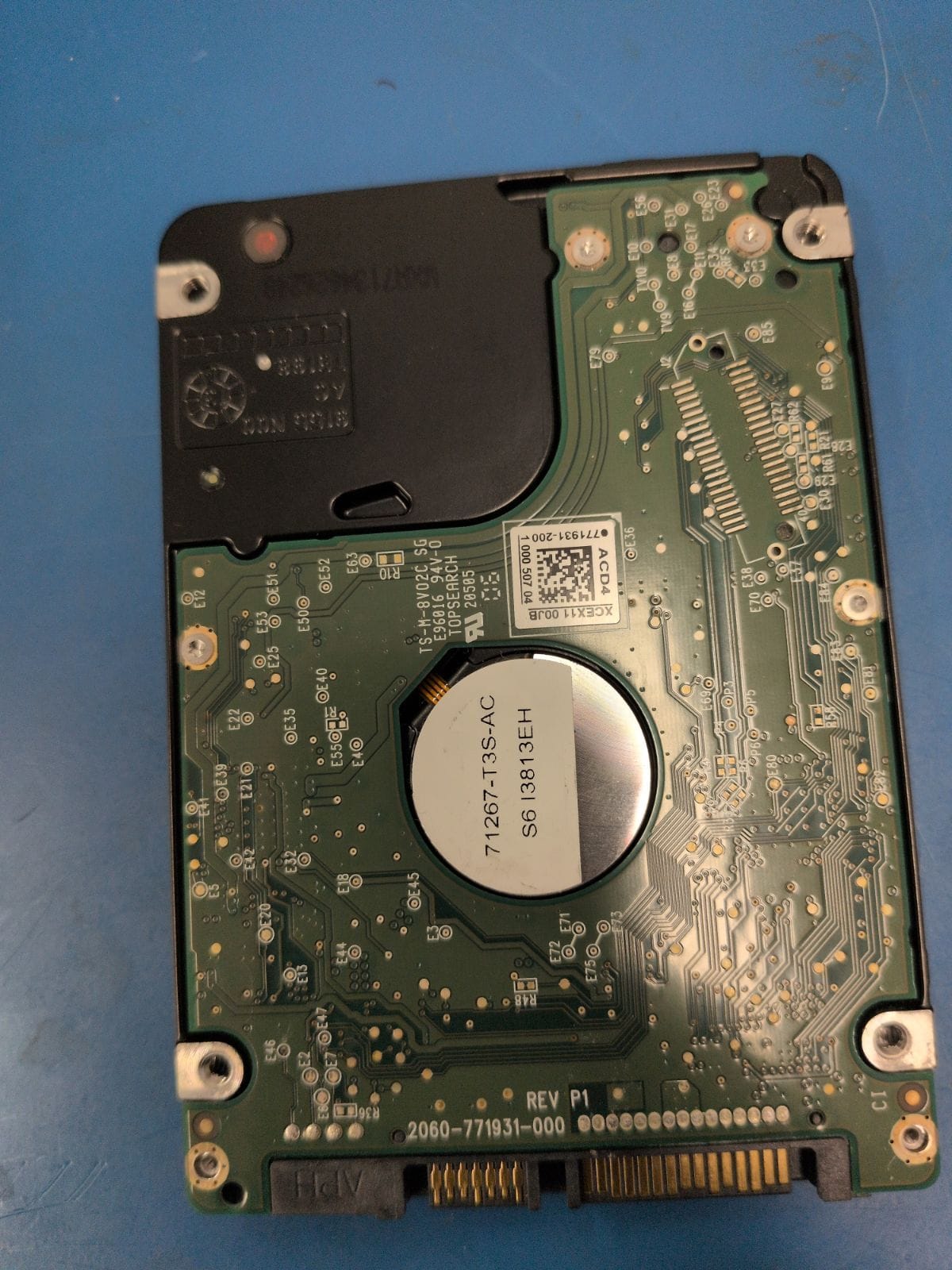 WD502 drive label (back)