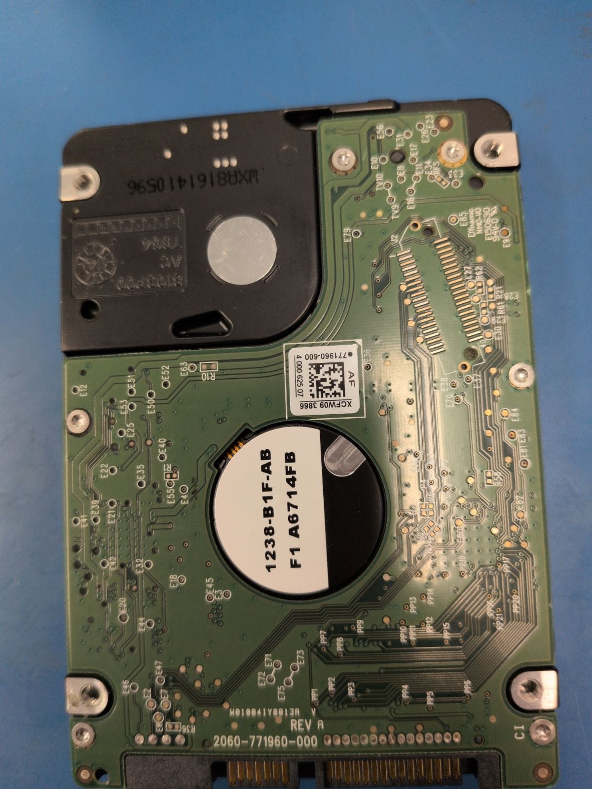WD523 drive label (back)