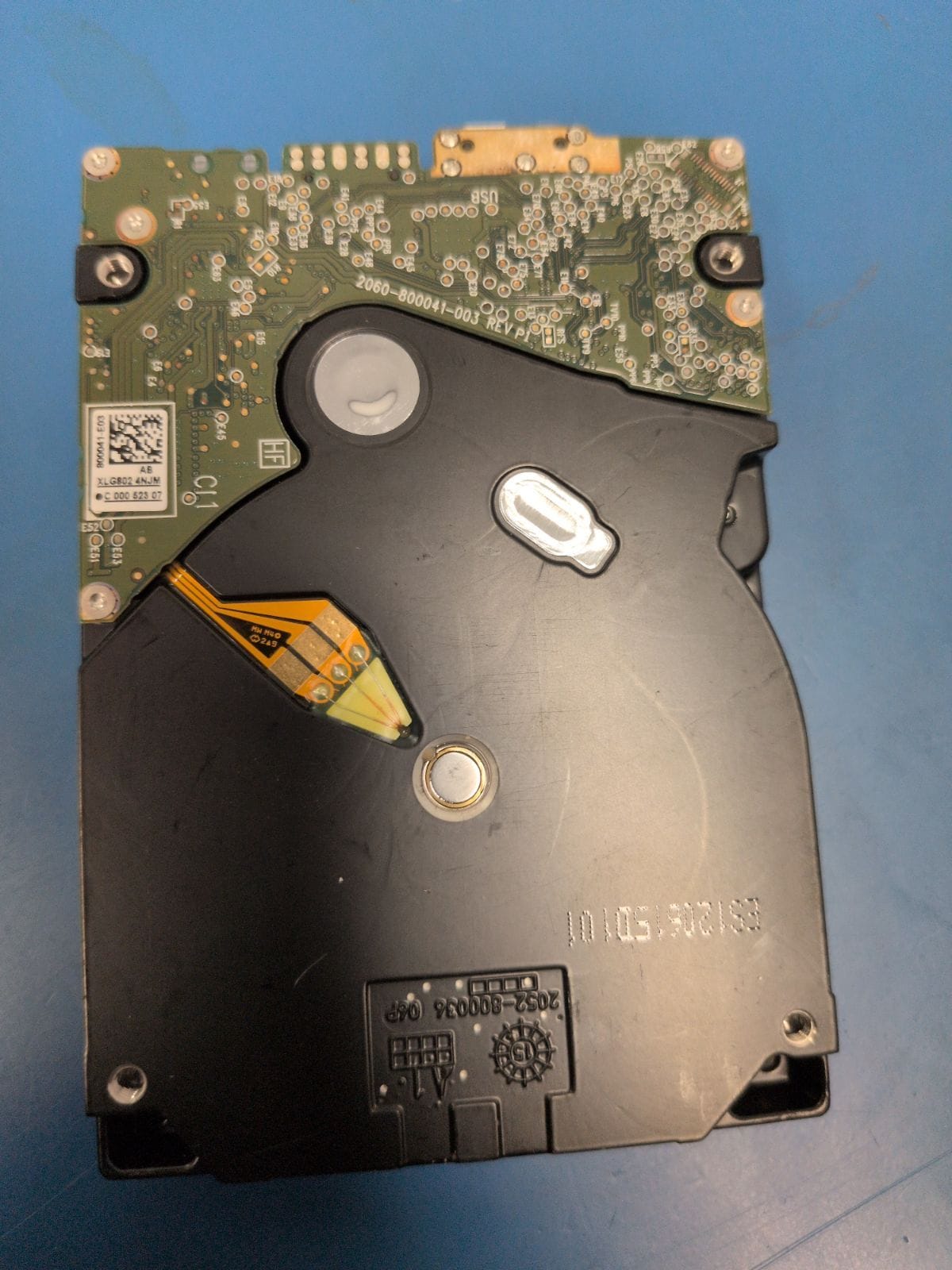 WD64 drive label (back)