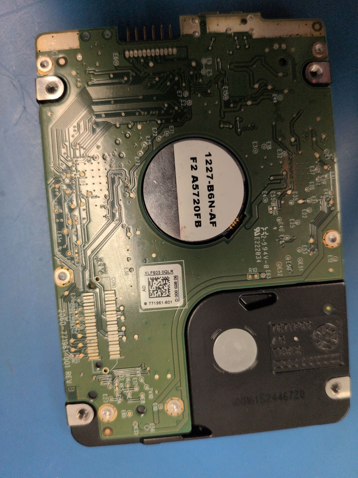 WD81 drive label (back)