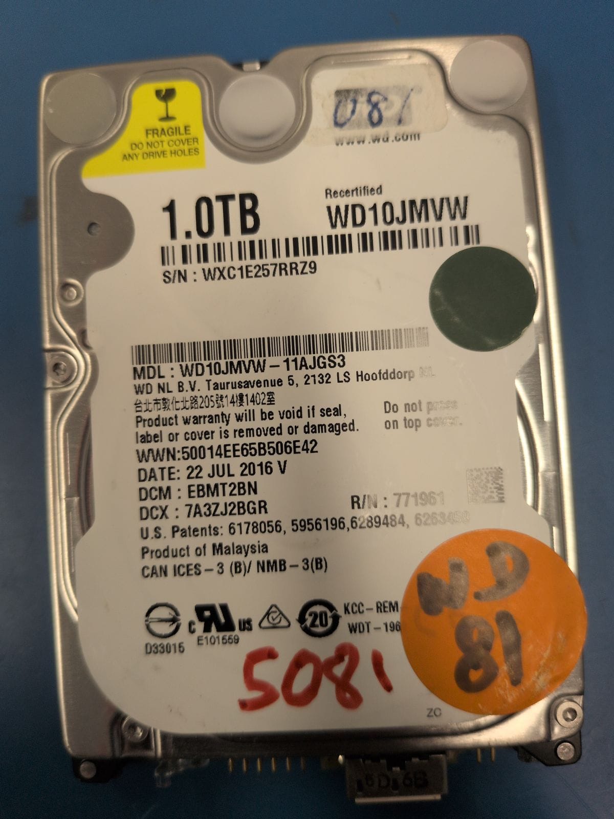 WD81 drive label (front)